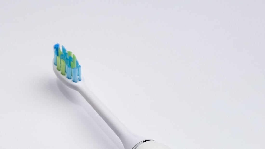 Gros plan de la tête allongée aux brins bleus et verts d’une SmartClean Pro Eclatys ivoire.