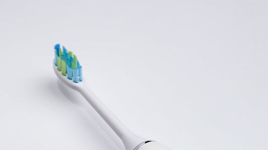 Gros plan de la tête allongée aux brins bleus et verts d’une SmartClean Pro Eclatys ivoire.