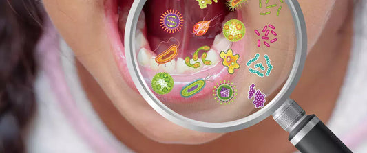 Illustration du microbiote bucco-dentaire et des bactéries de la bouche